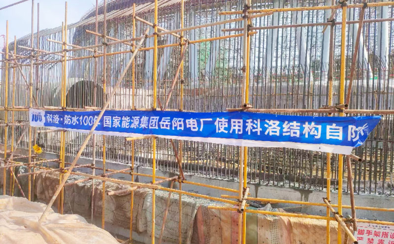 能源集團(tuán)岳陽(yáng)電廠-科洛案例